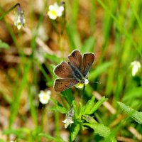 из позавчерашней съёмки 1 :: Александр Прокудин из позавчерашней съёмки 1 :: Александр Прокудин