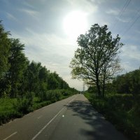 Летние мотивы :: Андрей Лукьянов