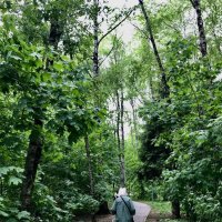 Мама… :: Любовь 