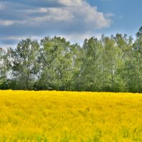 HDR :: k-e-r-g-u-d-u DM