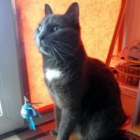 Предвкушение... :: Ольга Довженко Предвкушение... :: Ольга Довженко