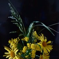 *** :: Валентина Береснева