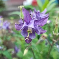 ,,, :: Сергей Тимоновский