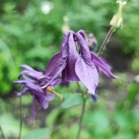 ,,, :: Сергей Тимоновский