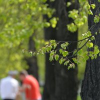 9 мая 2025 :: Алексей Короткевич