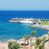 Пляж на берегу Красного моря. :: Геннадий Фадеев