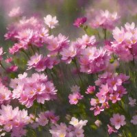 В розовых мечтах... :: Freddy 97