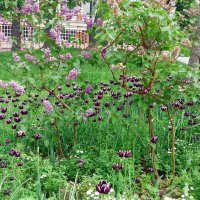 В парке :: Galina Solovova В парке :: Galina Solovova