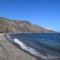 Природа Крыма :: Amazing Cosmea Природа Крыма :: Amazing Cosmea