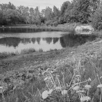 ***** :: юрий поляков