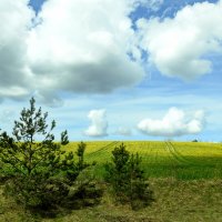 весна :: ИННА ПОРОХОВА