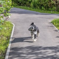 Чужие здесь не ходят :: Валерий Иванович Чужие здесь не ходят :: Валерий Иванович