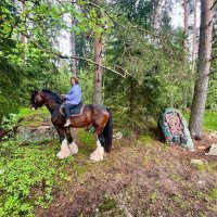 Конь-богатырь в сказочном лесу. :: Ольга 