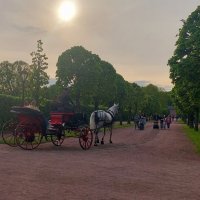 Вечерняя прогулка по Коломенскому :: ИРЭН@ .