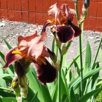 ,,, :: Сергей Тимоновский