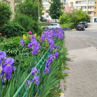 ,,, :: Сергей Тимоновский