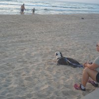 " :: Светлана Хращевская