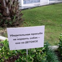 У входа в "Самшитовую рощу" :: Ольга 