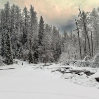 Линдуловская роща :: skijumper Иванов