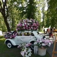 *** :: Валентина Береснева