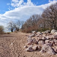 Берег Финского залива. :: Лия ☼ Берег Финского залива. :: Лия ☼