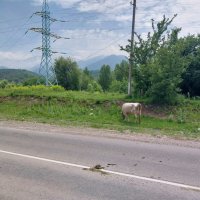 Talgar. :: Murat Bukaev 