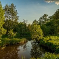 Родные берега :: Андрей Дворников Родные берега :: Андрей Дворников