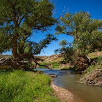 *** :: Сергей Мурзин