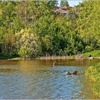 Под майским солнцем :: Aquarius - Сергей Под майским солнцем :: Aquarius - Сергей