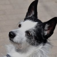 Позирую! :: Валентина  Нефёдова 