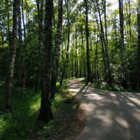 Лето совсем рядом :: Андрей Лукьянов