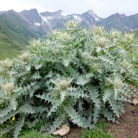 КБ :: Андрей Л. В.