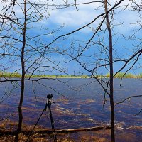 Май...Разлив протоки Сырой Аган! :: Владимир 