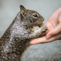 Доверие :: Александр 