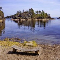 На озере.... :: Ольга Cоломатина