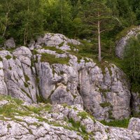 В горах :: Игорь Сикорский