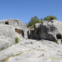 Природа Крыма :: Amazing Cosmea