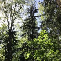 Место силы! :: Любовь Место силы! :: Любовь