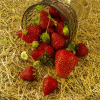 Ягода поспела. :: Lucy Schneider 