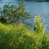 Ещё чуть - чуть и мы в ИЮНЕ! :: Татьяна Помогалова