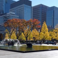 Солнечный Токио :: Civetta ***