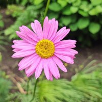 ,,, :: Сергей Тимоновский