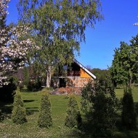 Деревенские фотозарисовки.. :: Татьян@ Ивановна