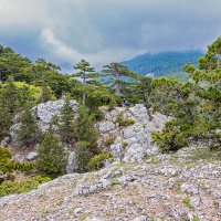 На видовых площадках заповедника :: Юрий Яловенко