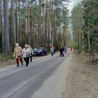 Экскурсанты :: Мария Васильева