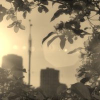 *** :: Сергей Сергеев