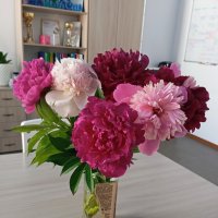 Весеннее настроение... :: Константин Штарк