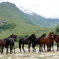 КБ :: Андрей Л. В.