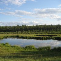 Лето :: Anna Ivanova