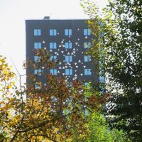 вариации на тему :: Елена Шаламова